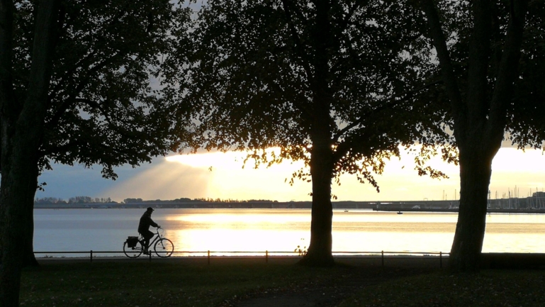 Wire 2019-10-04 at 7_571 AM