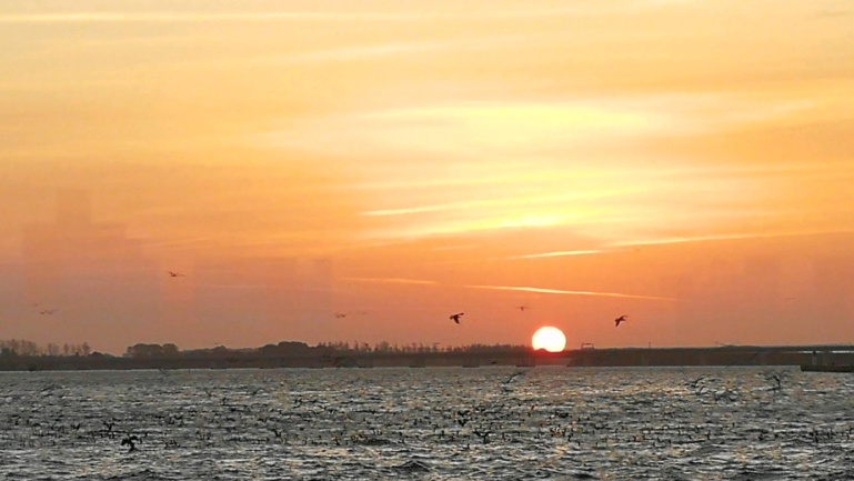 Wire 2019-10-15 at 7_53 AM