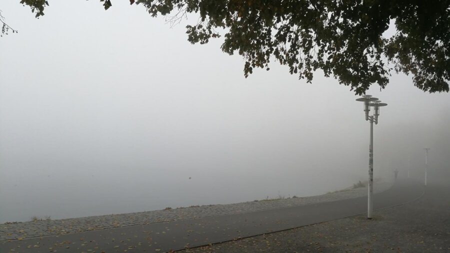 Wire 2018-10-24 at 12_12 PM