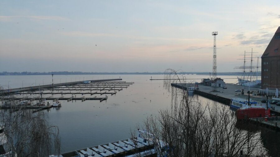 Wire 2018-12-17 at 8_30 AM