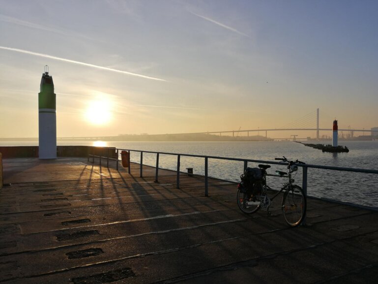 Wire 2019-02-18 at 8_351 AM