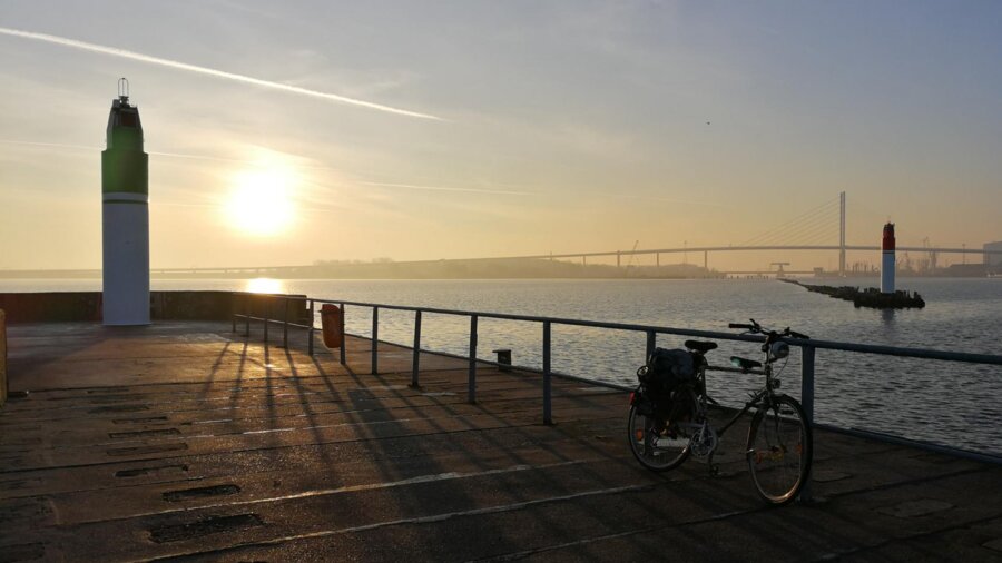 Wire 2019-02-18 at 8_351 AM