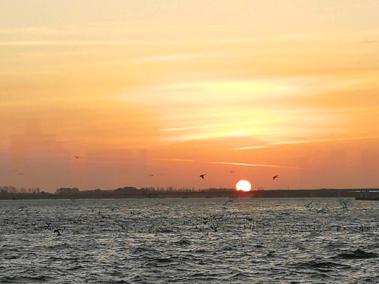 Wire 2019-10-15 at 7_53 AM