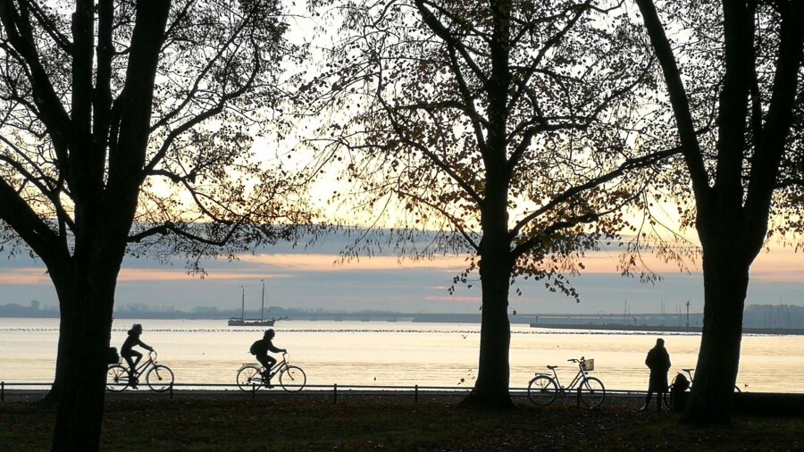 Wire 2019-10-22 at 7_532 AM