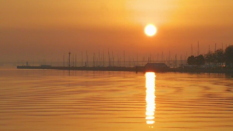 Wire 2018-10-17 at 11_01 AM