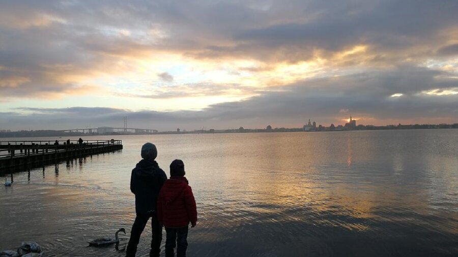 Wire 2018-11-27 at 8_16 AM