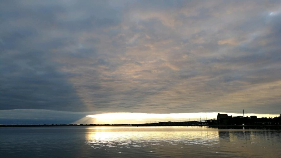 Wire 2019-10-04 at 7_57 AM